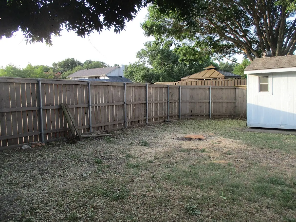 Cleared yard after professional tree removal in Lincoln City