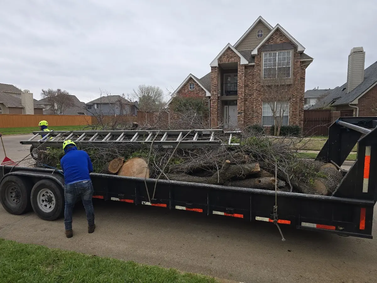 Expert Tree Fertilization with proper safety equipment in Lincoln City